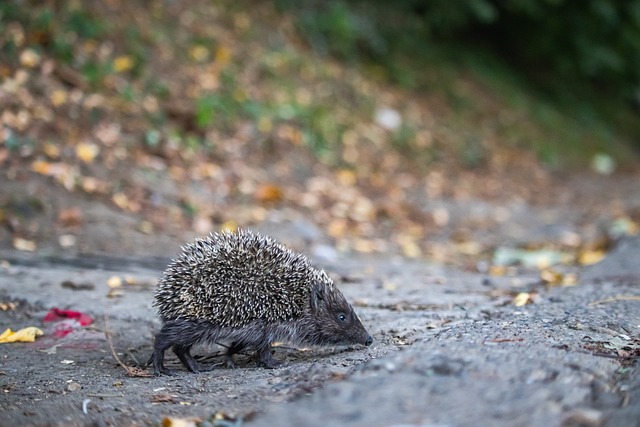 带来巨大挑 带来巨大挑