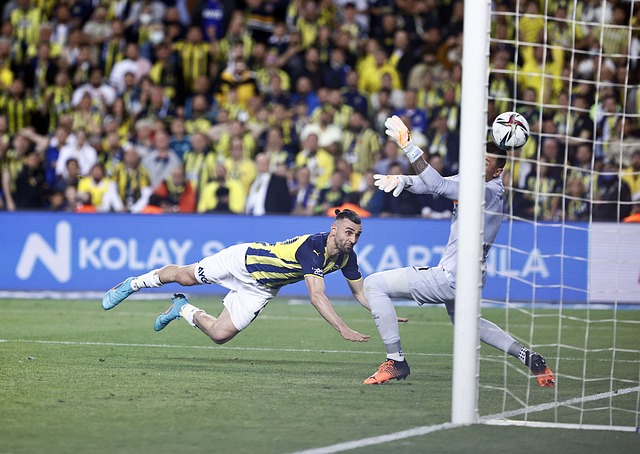 和无限活力 和无限活力