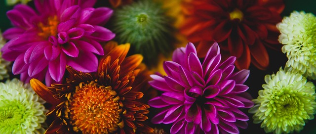 展現了紅黑